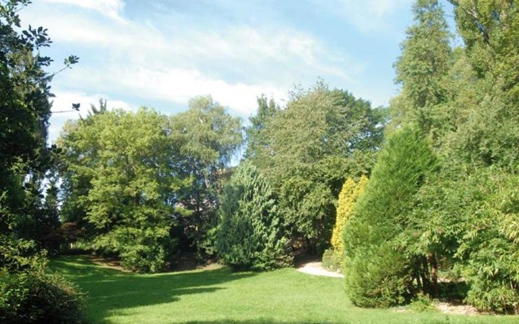 Arboretum du Bois de la Vierge, Vendresse, France, France
